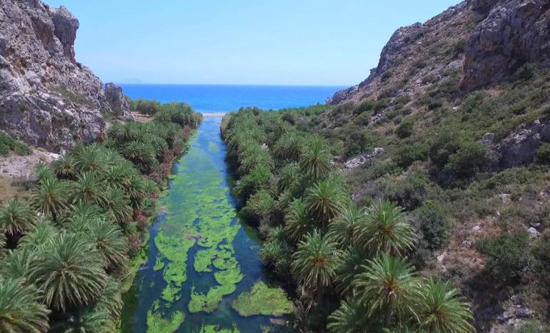 Palmenstrand von Preveli