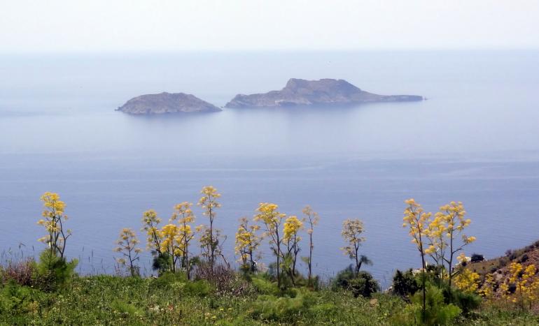 Νήσοι Παξιμάδια