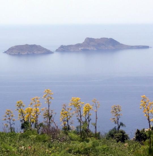 Νήσοι Παξιμάδια